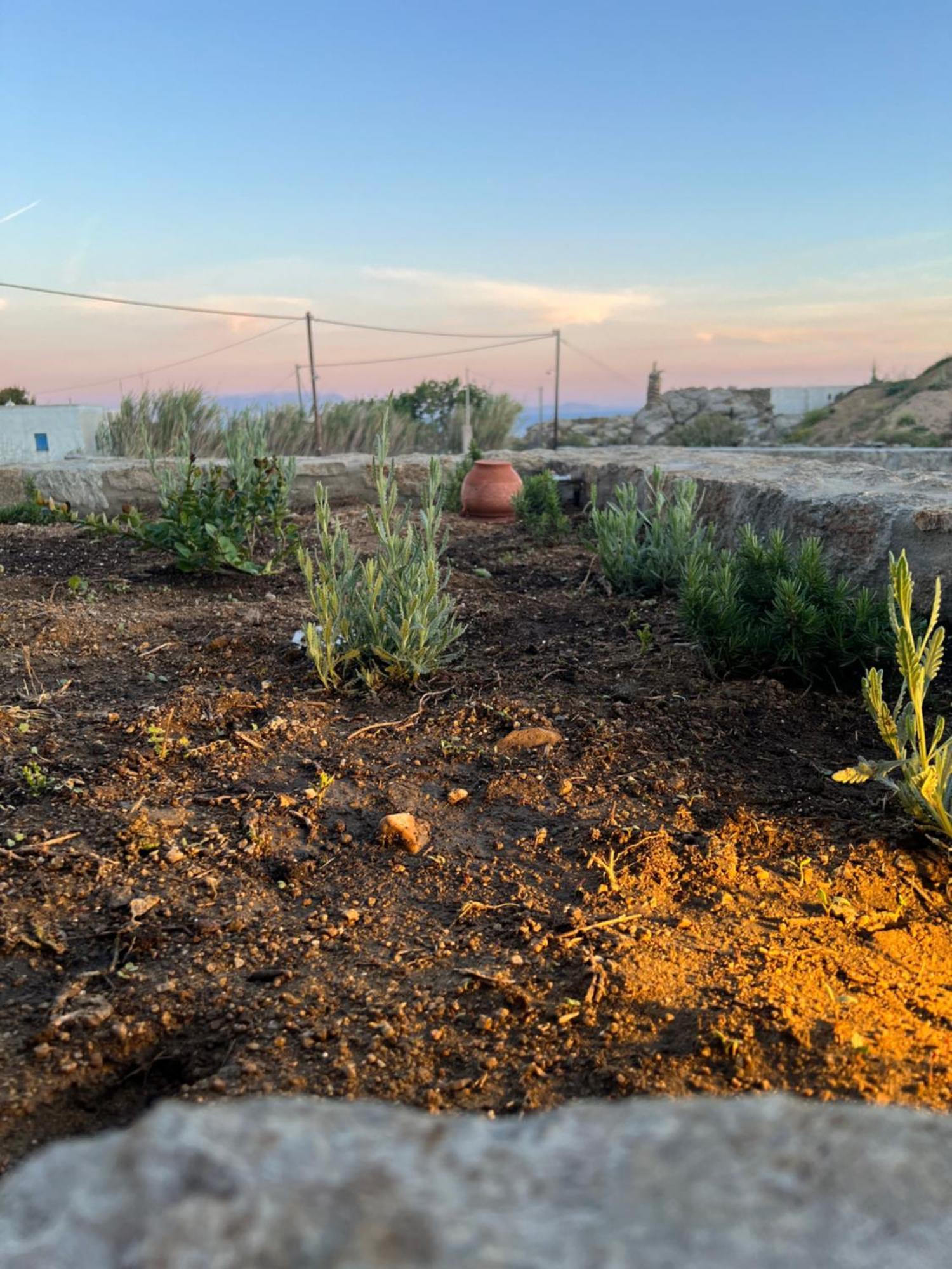 Miamis Villas Mykonos I Plintri Buitenkant foto